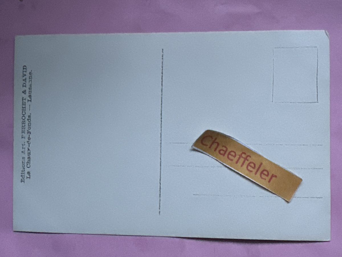Cartoline postali: 5003 Wengen, Totalansicht – Usato da Zürich venduto da Chaeffeler 1