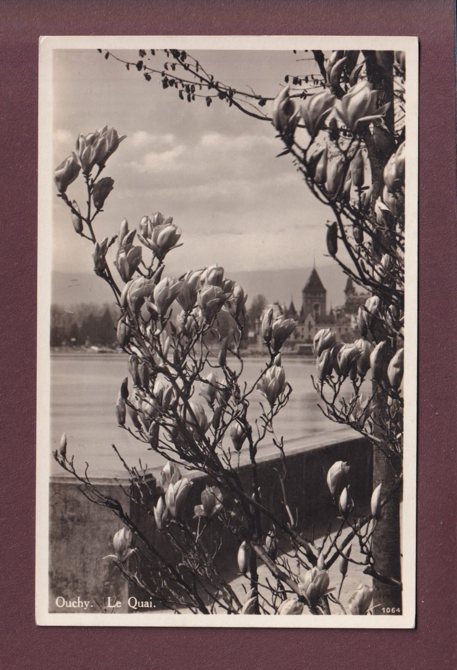 Cartoline postali: LAUSANNE - Ouchy - Magnolia – Usato da Pully venduto da nicecards