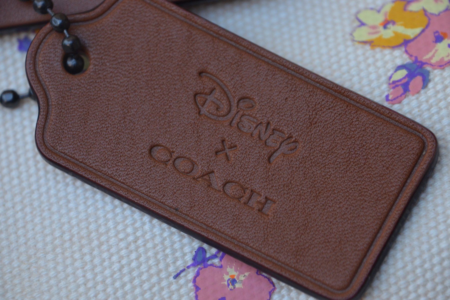 Coach Borse da donna: Coach - Disney Tascge / sac – Usato da Collonges venduto da arashee 8