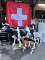 Deko Kühe lebensgross -Aus hartem Laminat