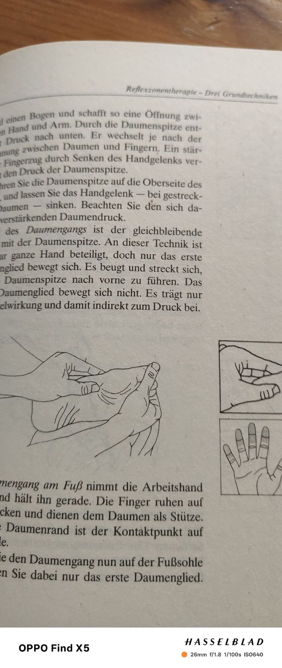 Libri: Reflexzonenmassage – Nuovo (secondo la descrizione) da Volken venduto da katz5 2