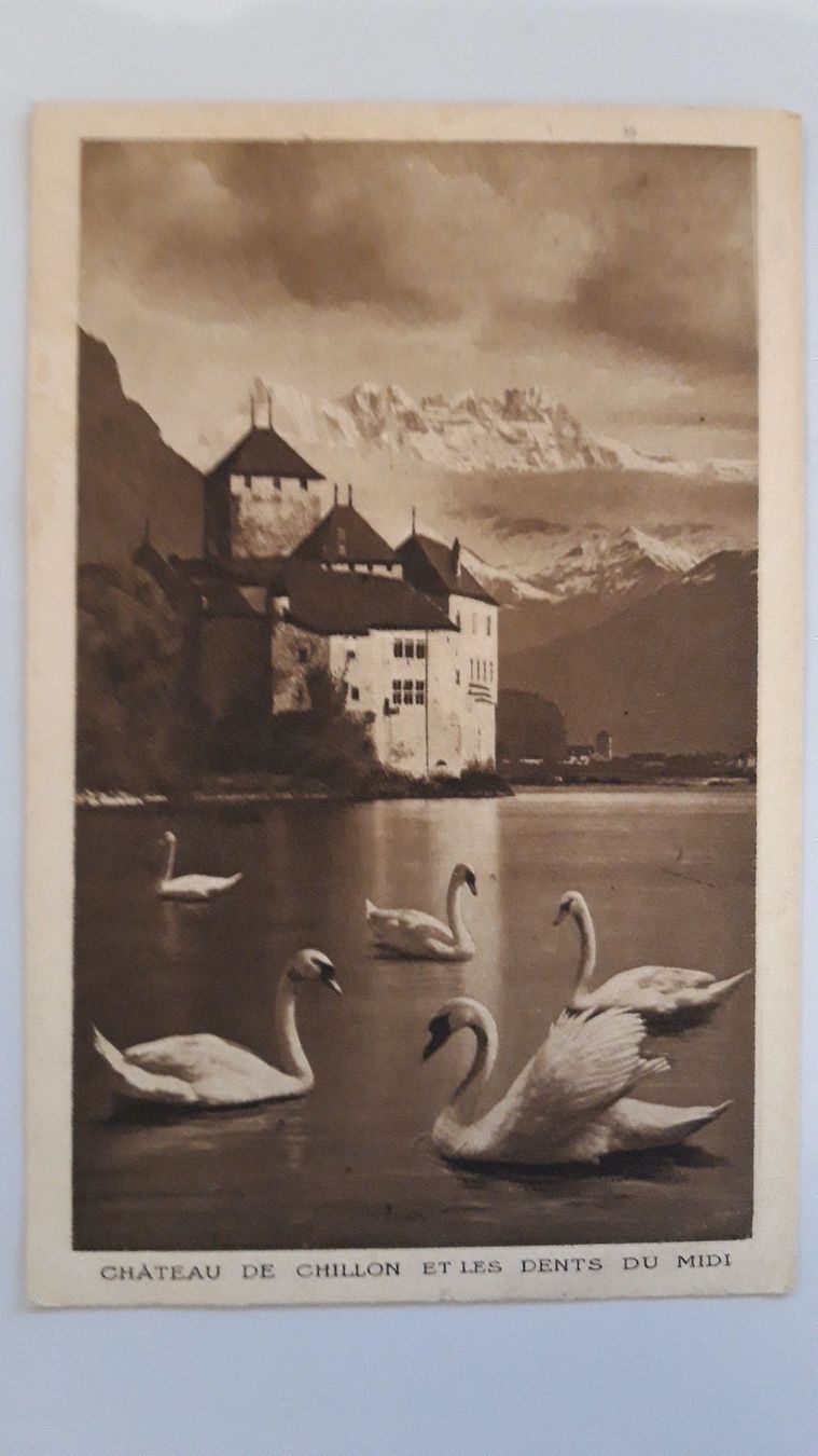 Cartoline postali: Chateau de Chillon et les Dents du Midi – Usato da Sargans venduto da nicsam1815