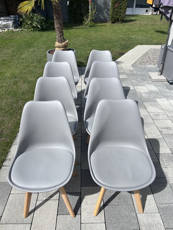 POLISPORT Wasserpumpenschutz Für BETA Motorräder - Robust & Schlagfest