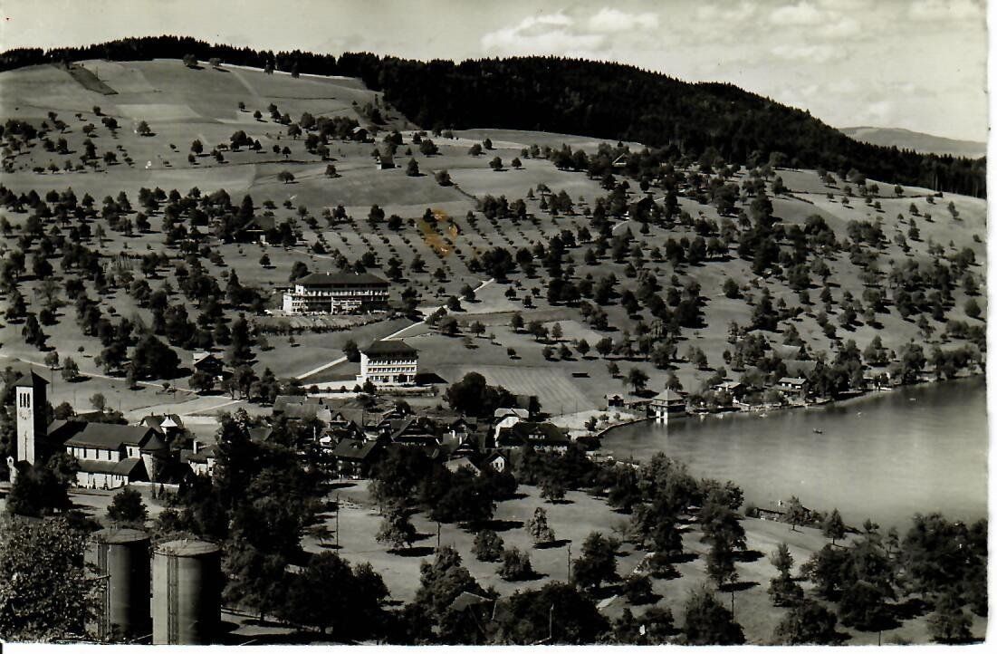 Cartoline postali: Immensee am Zugersee – Usato da Hochdorf venduto da Ziegel-16