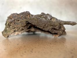 Naturfelsen für Aquarium 40cm x 32cm x 12cm