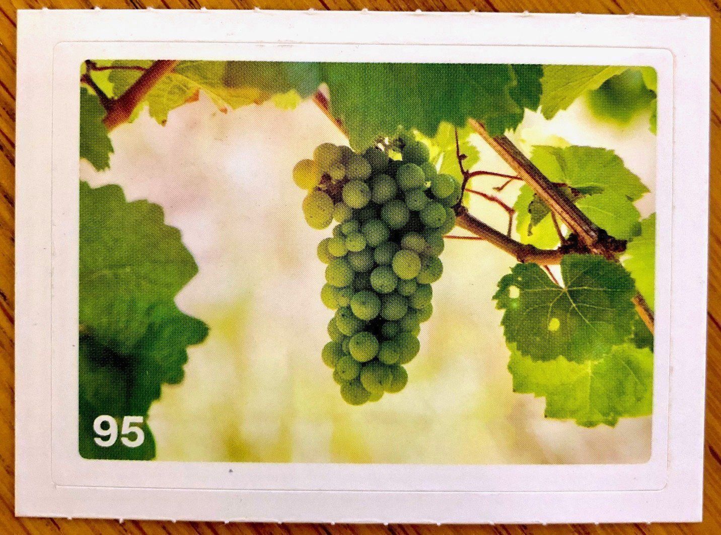 Migros Carte collezionabili: Migros Nature Detectives - Bild Nr. 95 – Nuovo (secondo la descrizione) da Oberrieden venduto da Zimmerberg10