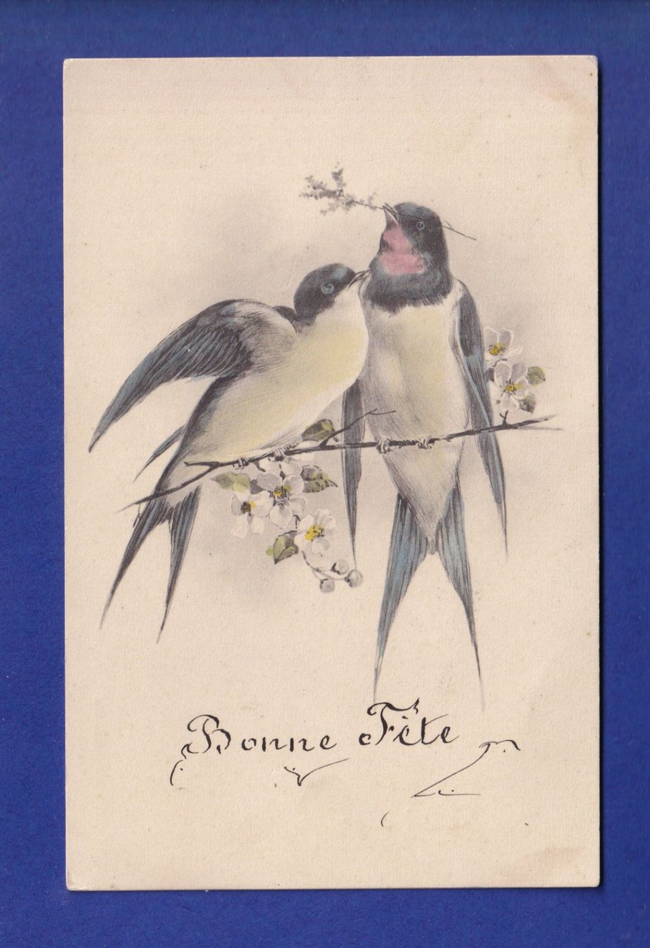 Ansichtskarten: OISEAU - Hirondelles – Gebraucht aus Pully von nicecards-shop