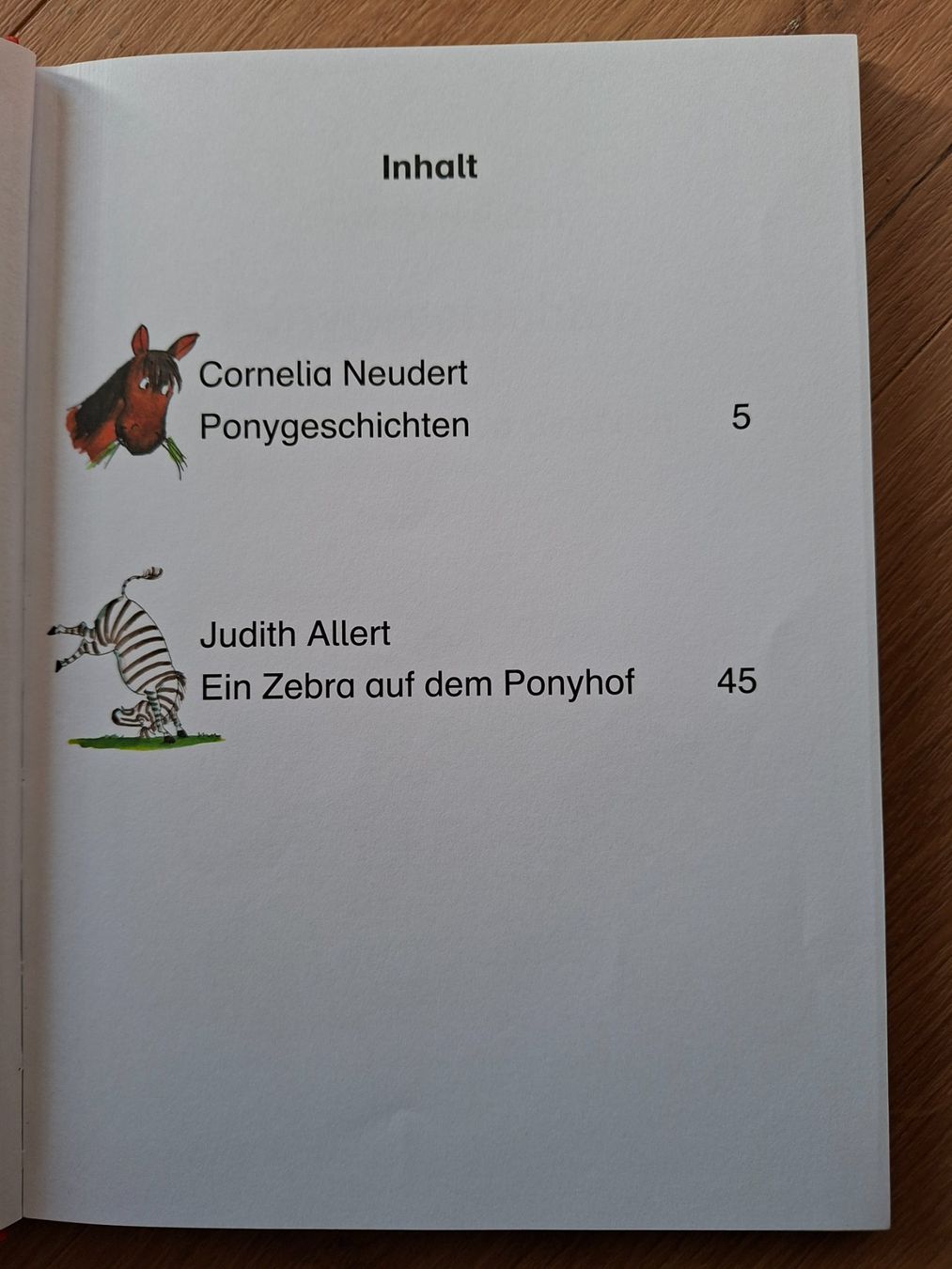 Libri: Leserabe 1.Lesestufe – Usato da Steg im Tösstal venduto da martinkreisl 2