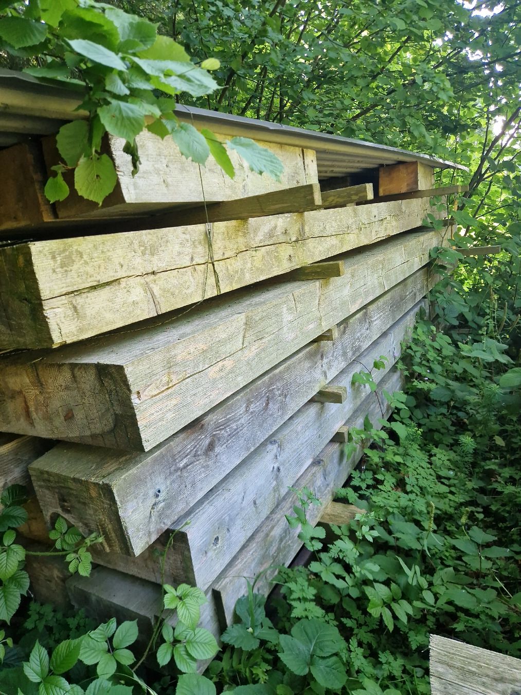 Articles en bois: Holzbalken – D'occasion à Schachen b.Herisau par Peacemaker3