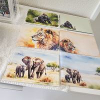 Karten Set Couvert Karten Afrika Tiere Löwe Gorilla Elefant