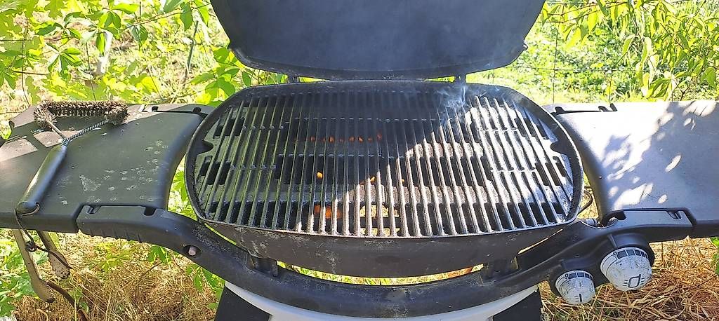 Valigie & Borse: Barbecue weber gaz d occasion – Usato da La Croix (Lutry) venduto da edo_n8wf 1