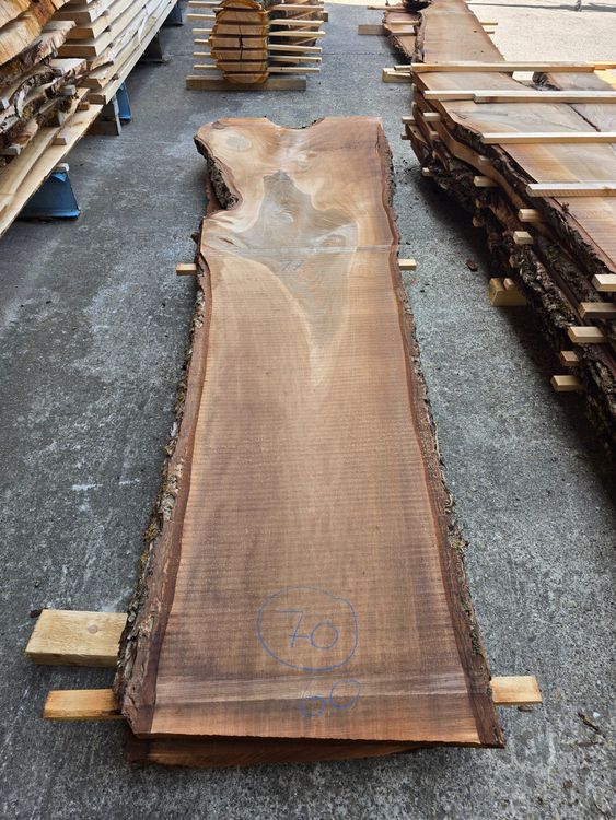 Articoli in legno: Nussbaumbrett Nr.70 – Nuovo (secondo la descrizione) da Lützelflüh-Goldb venduto da ch.waelchli-holz.ch 1