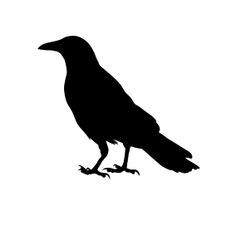 Profile image of corvomotorsports