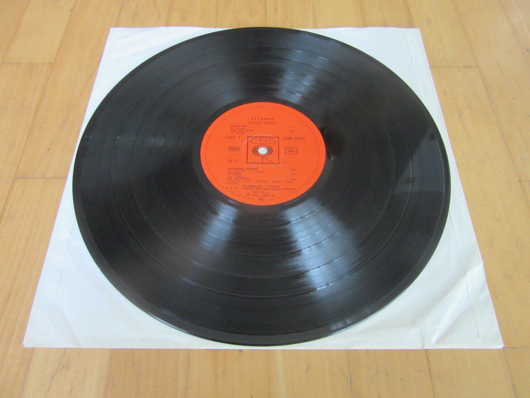 Dischi in vinile: Langspielplatte "TITANIC" - EAGLE ROCK – Usato da Degersheim venduto da Tforelle 5