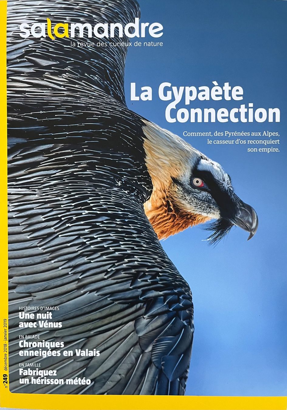 Riviste & Magazine: La Salamandre - 3 numéros – Usato da Le Crêt-p-Semsales venduto da staglione69 3