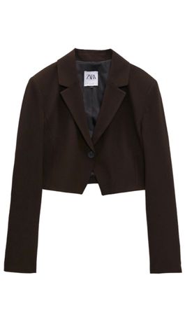 Zara vintage crop Blazer