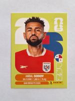 Panini Aníbal Godoy PAN 11