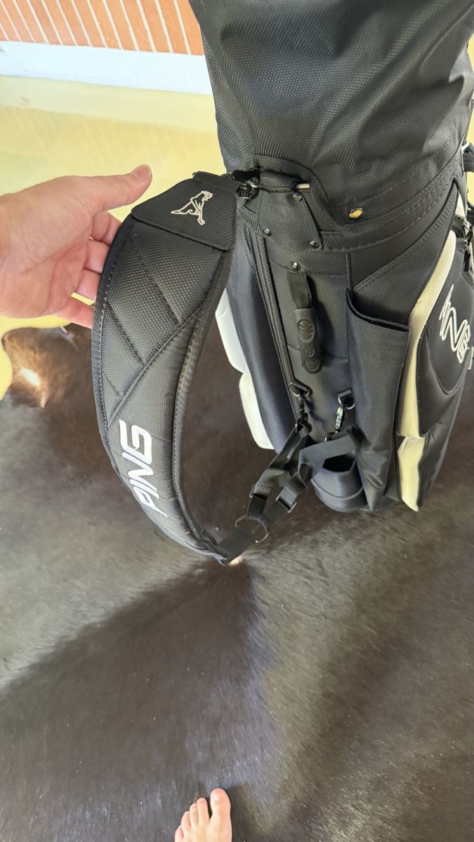 Ping Mazze & Set: Golf Tasche Ping  – Usato da Kirchberg BE venduto da pimposchinder 5