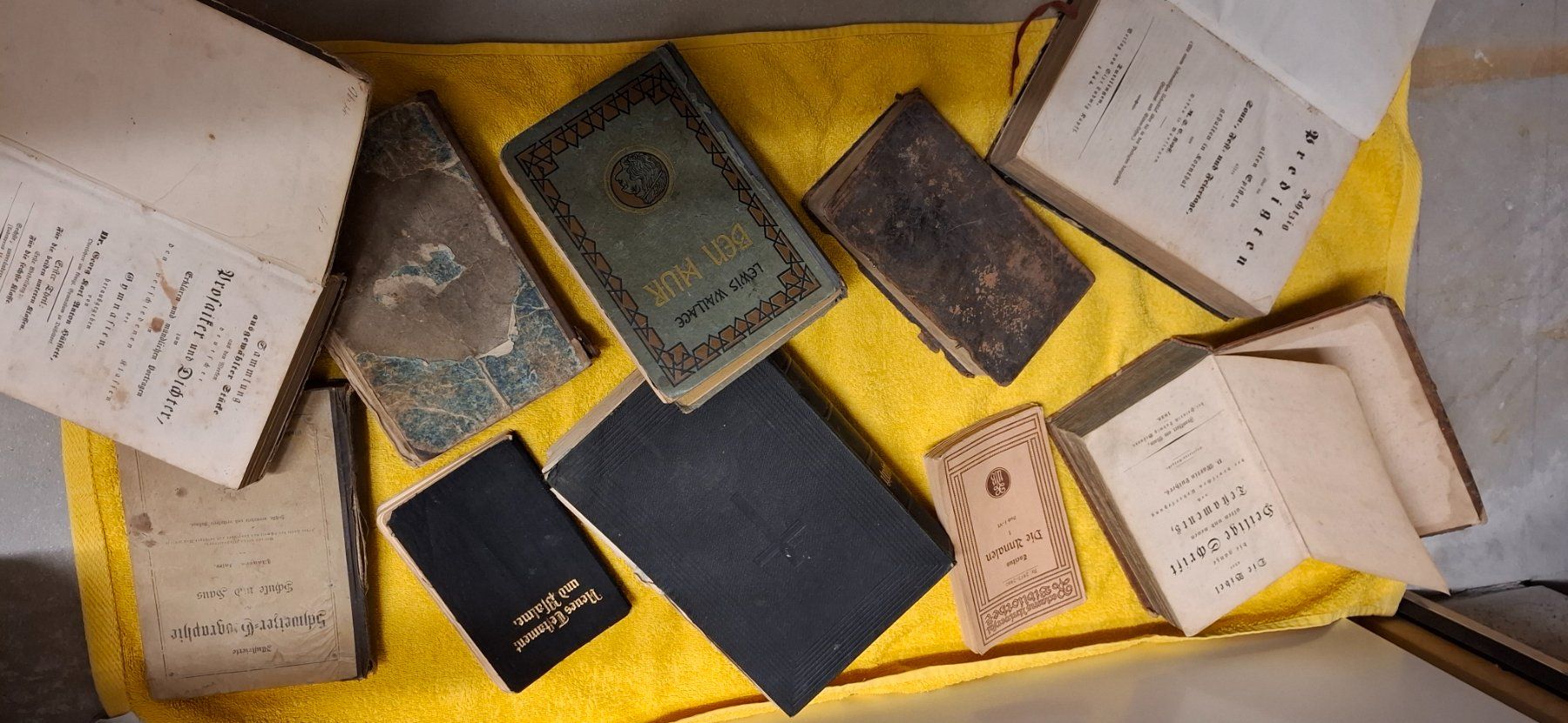 Libri: Antike Bücher – Usato da Heimberg venduto da lisari01