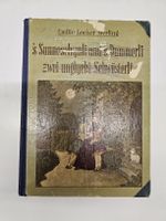 Kinderbuch 's Sunneschynli und 's Dummerli