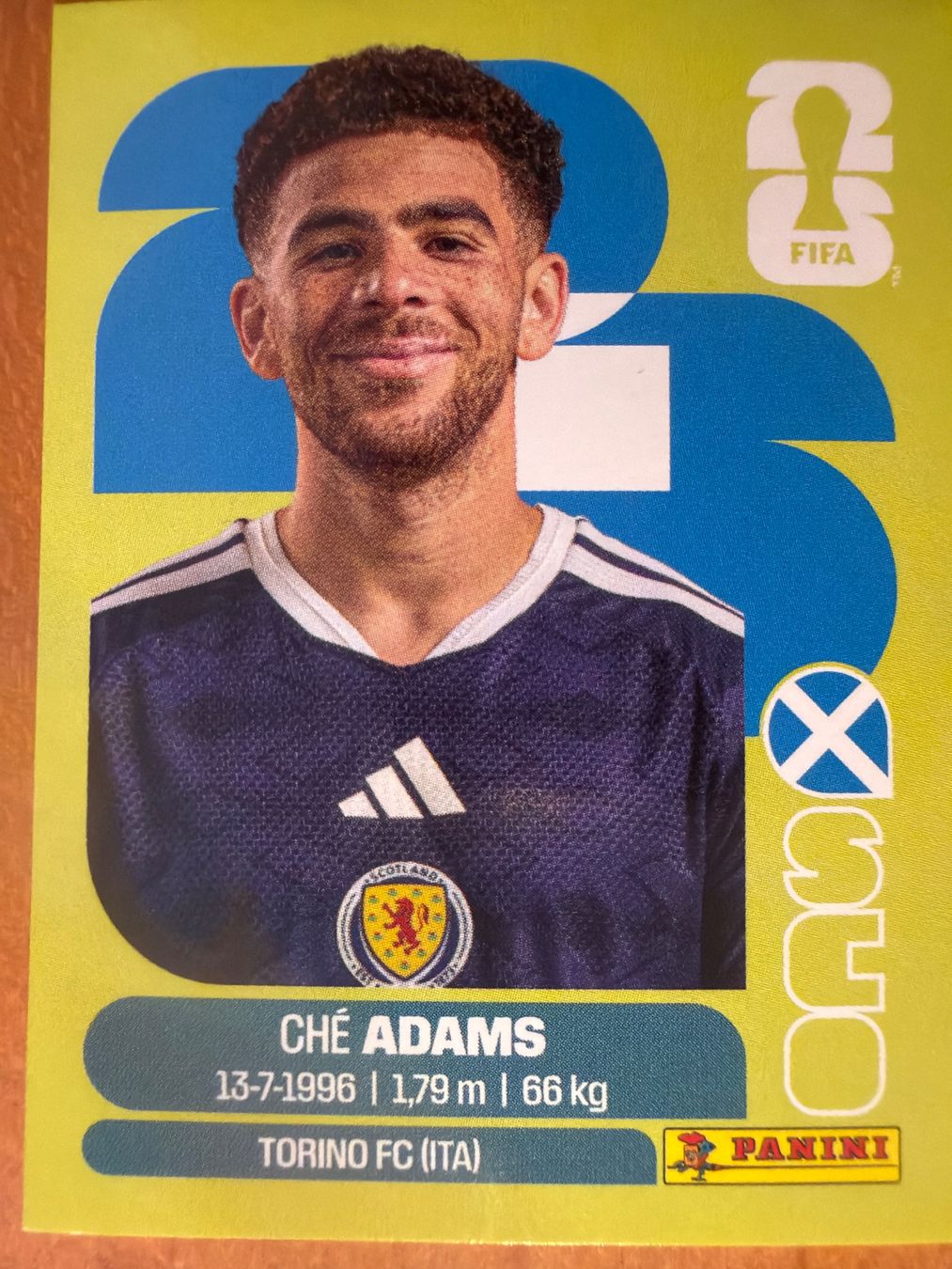Panini Carte collezionabili: Panini SCO19 – Nuovo (secondo la descrizione) da Susten venduto da Rechnun