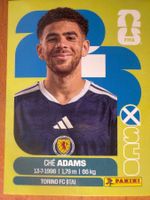 Panini SCO19