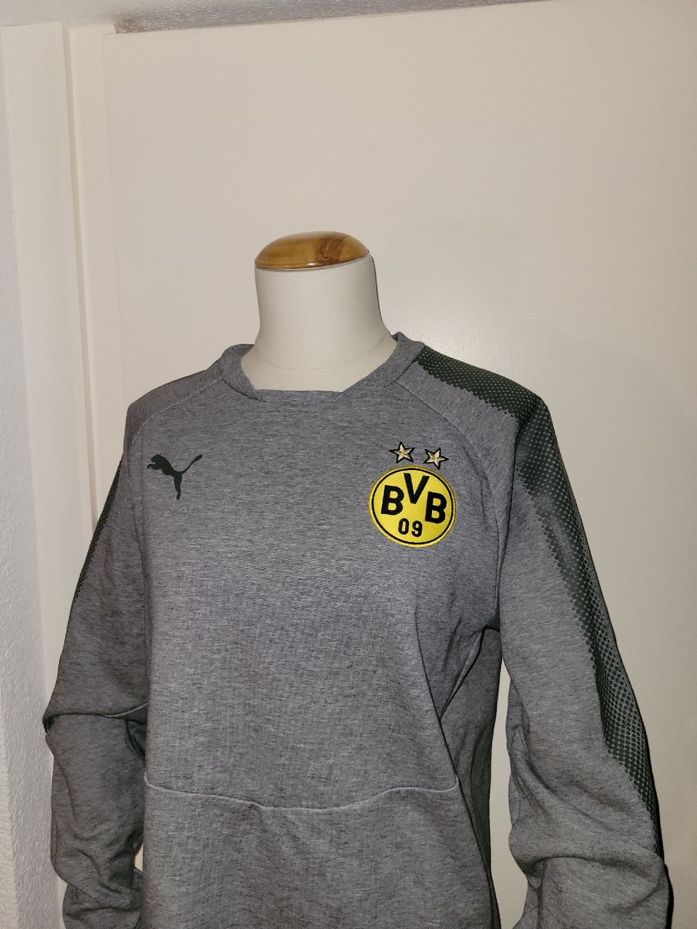 Puma Maglioni & Felpe: BVB Borussia Dortmund Pullover, Grau, Grösse M, Top Zustand! – Usato da Solothurn venduto da tingel_t