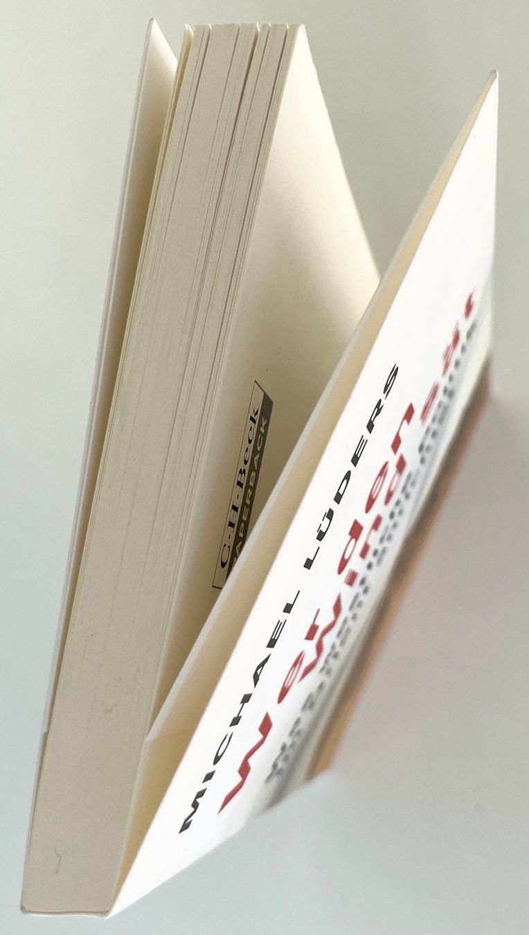 Bücher: Wer den Wind sät – Michael Lüders – Sachbuch Politik – Top – Neu (gemäss Beschreibung) aus Bern von frank.j.webb 3