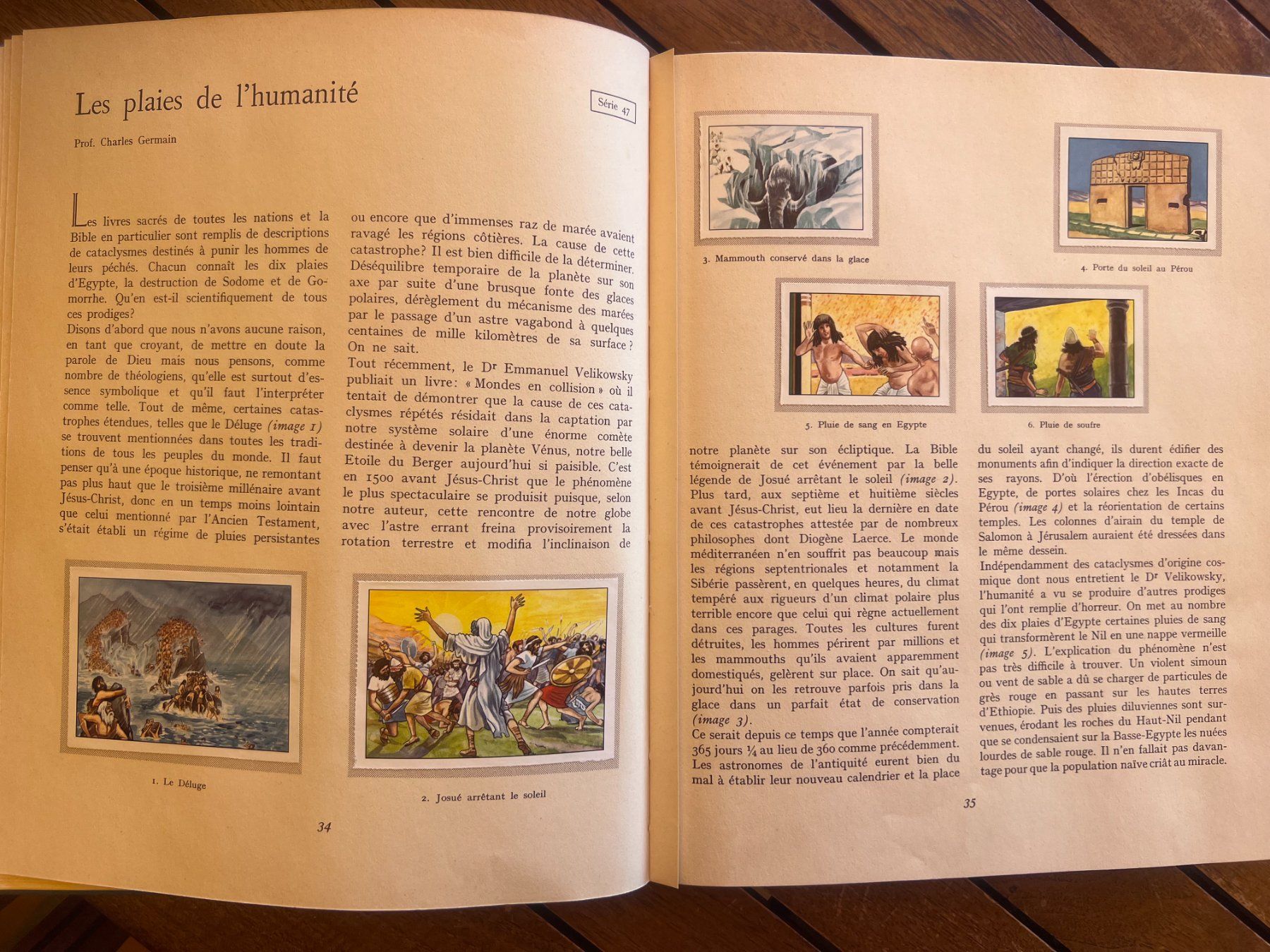 Alben: Album Nestlé avec vignettes collées – Gebraucht aus Savigny von ron_q529 6