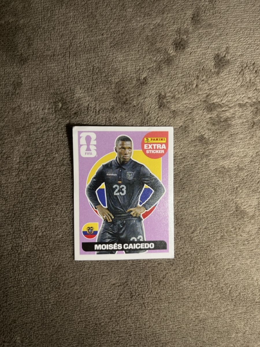 Panini Cartes à collectionner: Panini Extrasticker Moises Caicedo – D'occasion à Meisterschwanden par Kaktus42