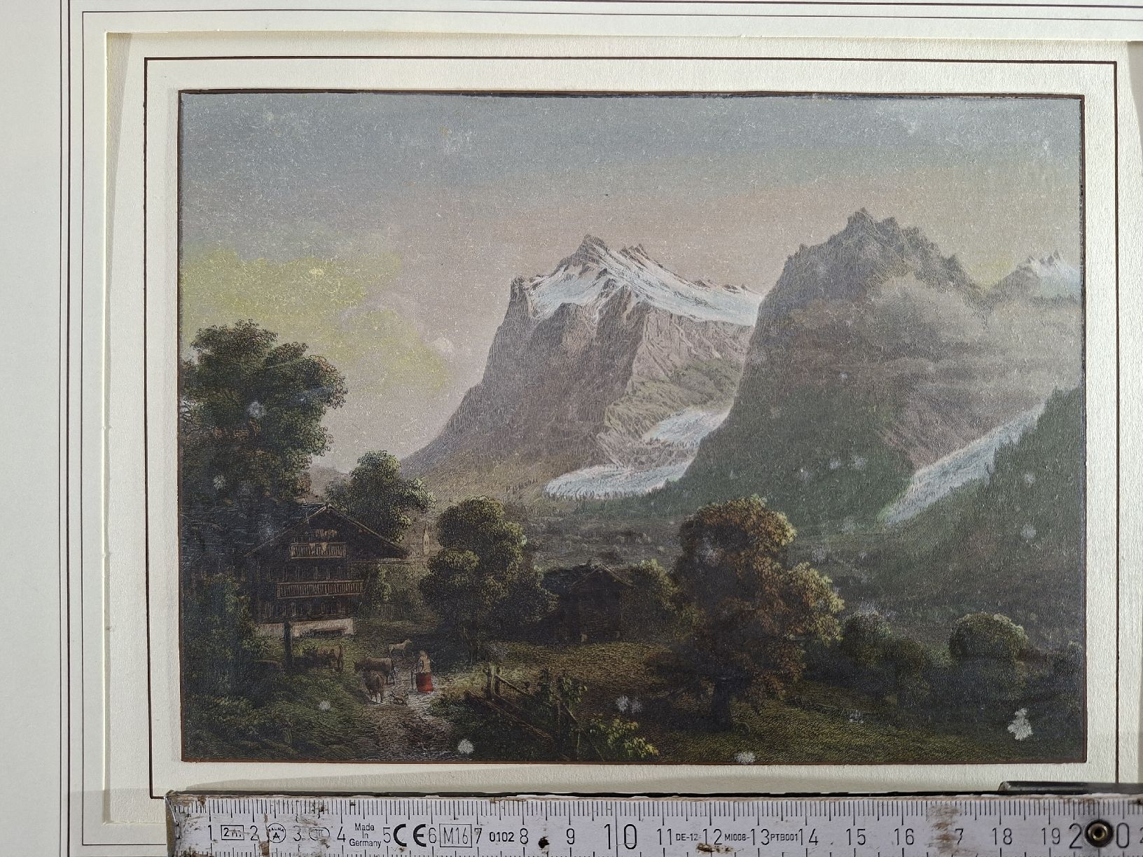 Incisioni: Lot 32 , 5 Stiche  – Usato da Grindelwald venduto da carro5 3