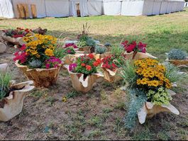 Blumentröge aus Rundholz oder Wurzelstamm nach Kundenwunsch