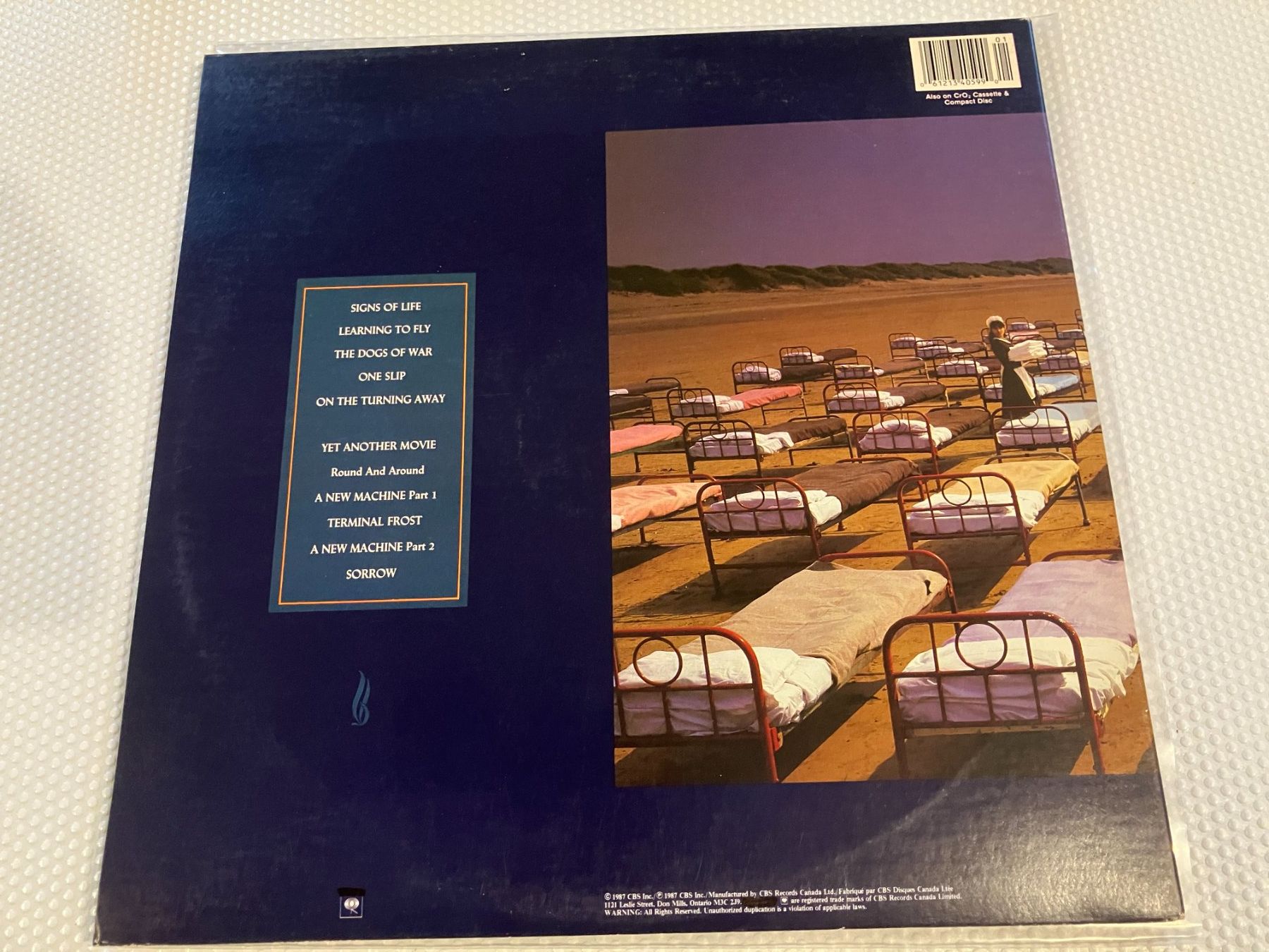 Dischi in vinile: Pink Floyd – Usato da Aarwangen venduto da Jukebox3 2