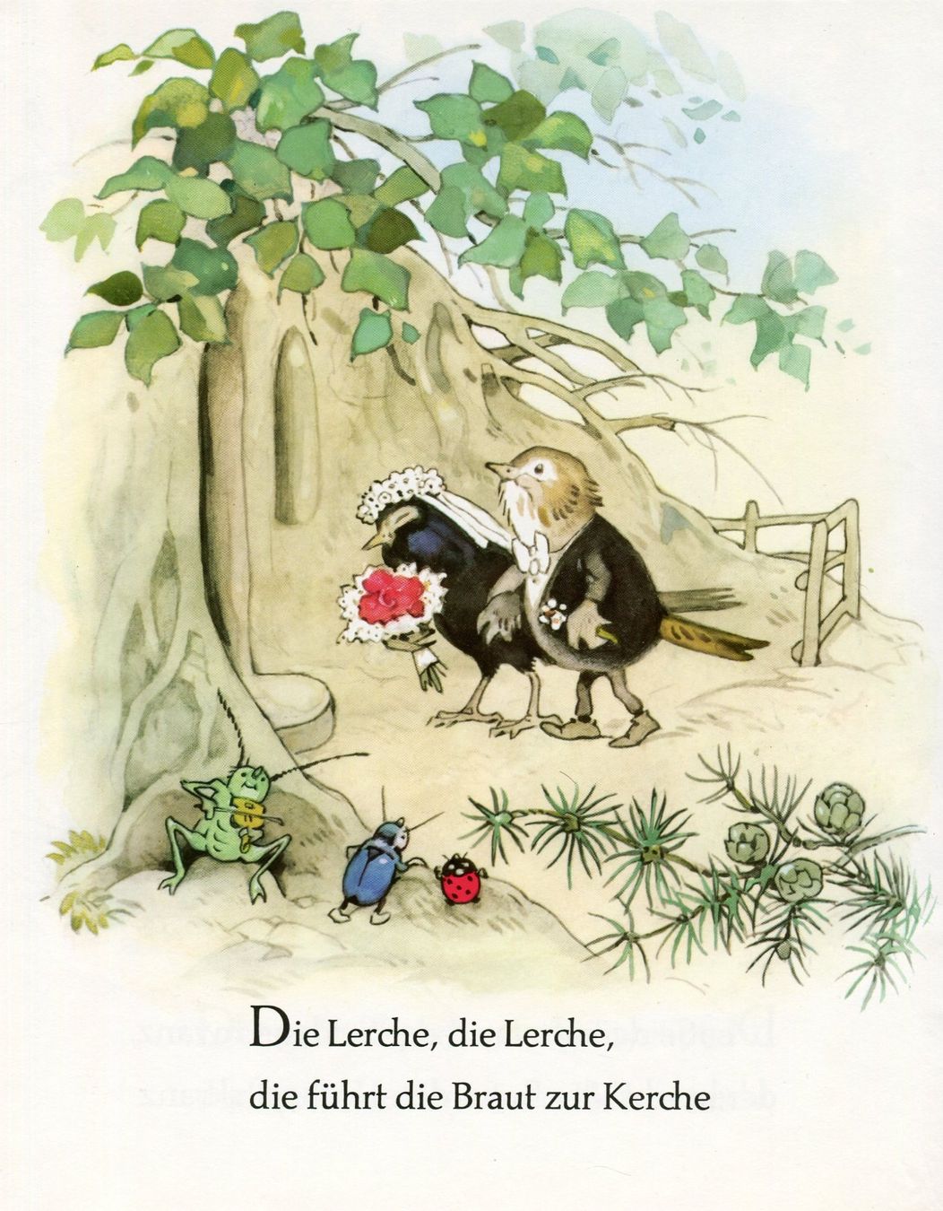 Libri: Die Vogelhochzeit - Eine lustige Geschichte – Usato da Röthenbach i. E. venduto da Heureka5 2