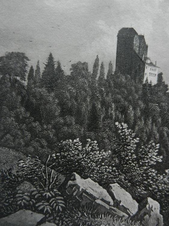 Gravures: Wildegg von Triner – D'occasion à Risch par Rischli15 3