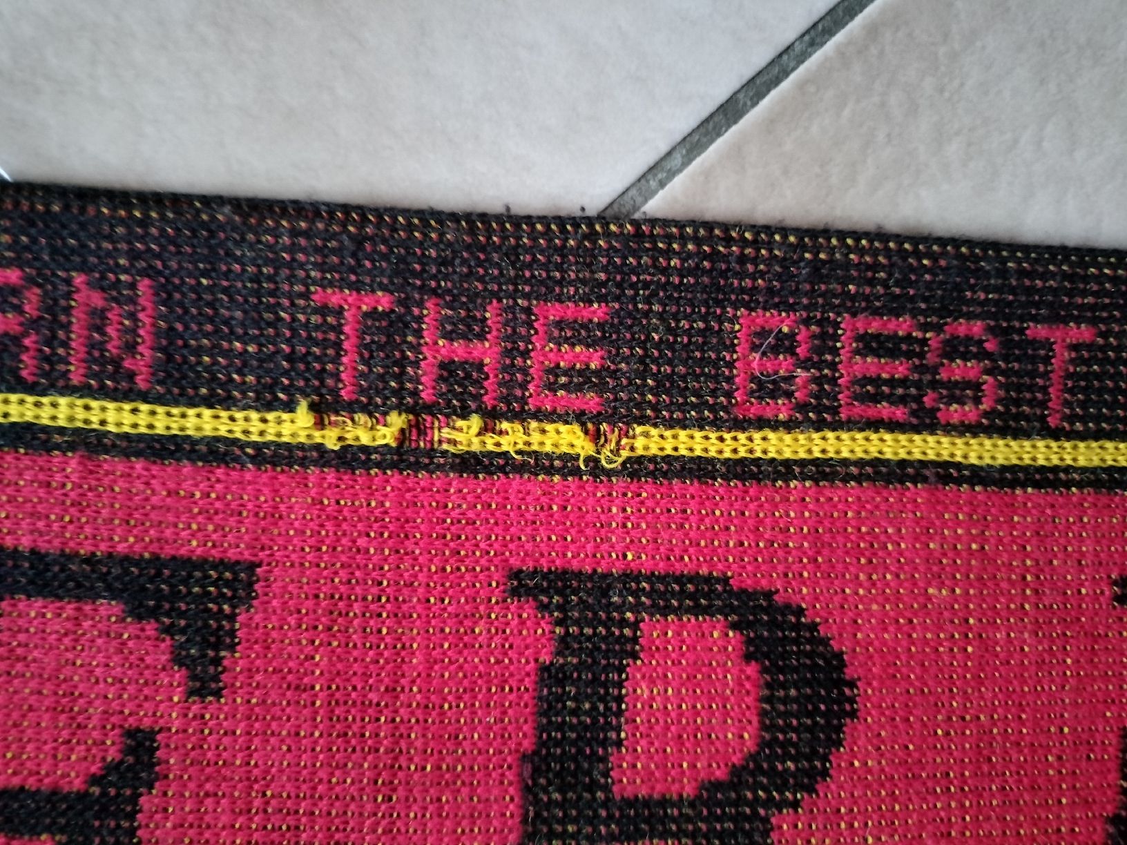Foulard & Sciarpe: Alter SC Bern SCB Fan Schal – Usato da Schwanden Sigrisw venduto da Wibe81 2