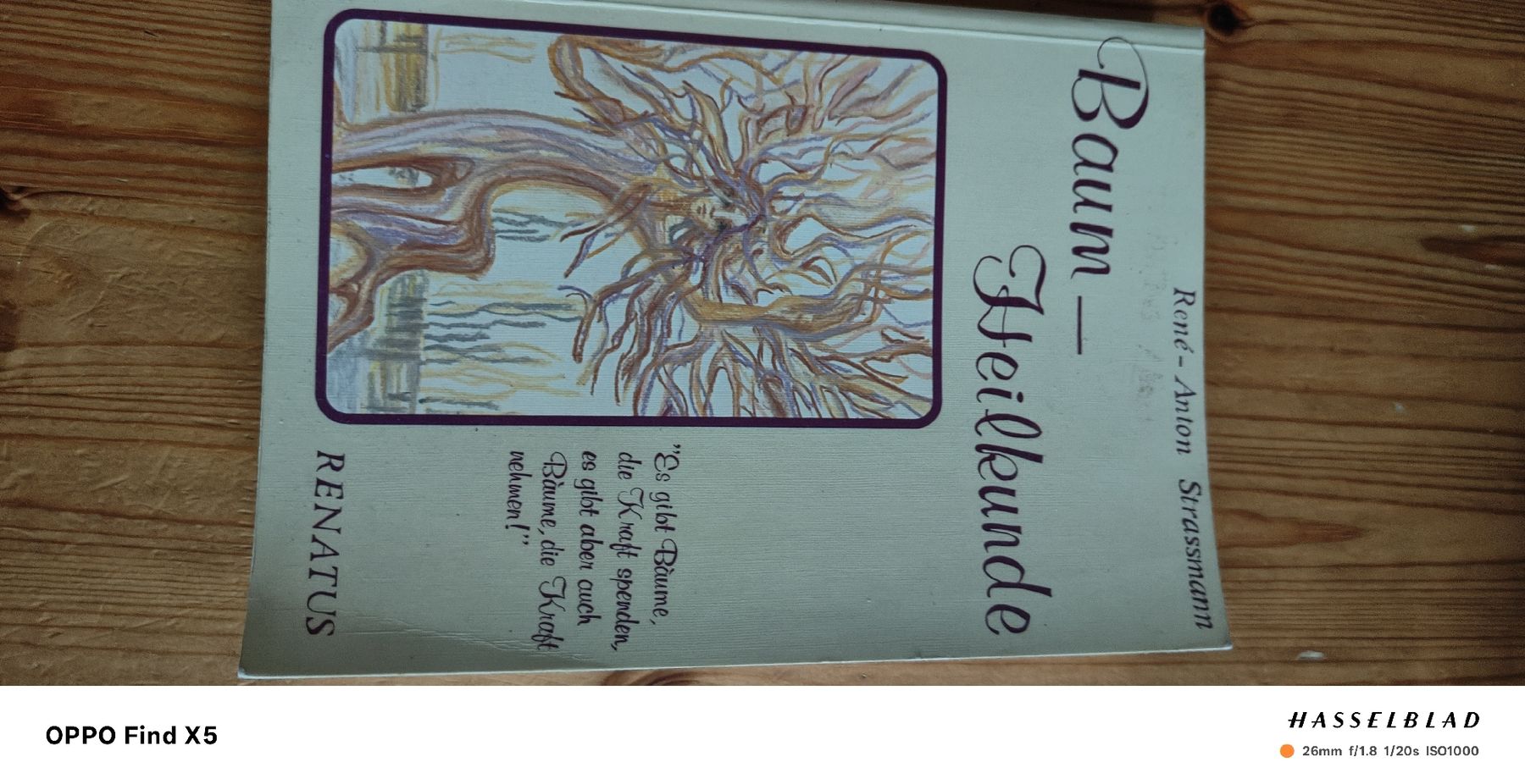 Bücher: Baumheilkunde – Gebraucht aus Volken von katz5