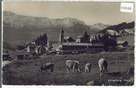Sörenberg - Kuhherde
