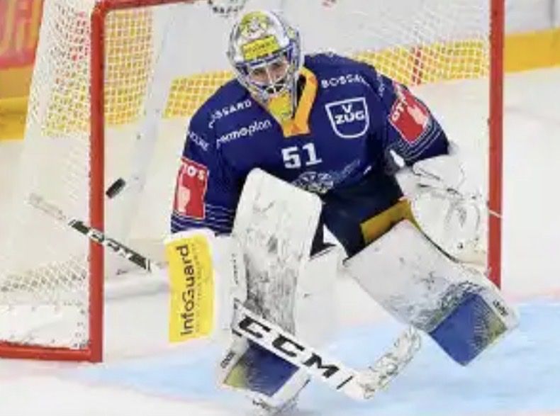 Protezioni & Imbottiture: Original EVZ Meisterset Luca Hollenstein CCM Axis – Nuovo (secondo la descrizione) da Kallnach venduto da Chaesi89 5