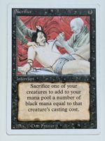 Sacrifice - Revised Edition