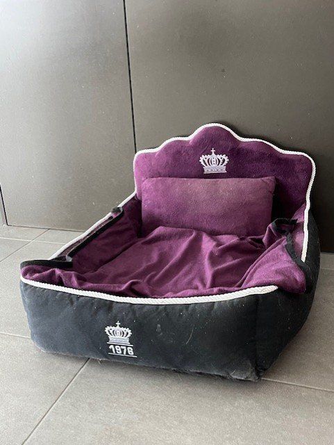 Cucce & Letti: VIP Hundebett – Usato da Wohlen AG venduto da Prinzess1