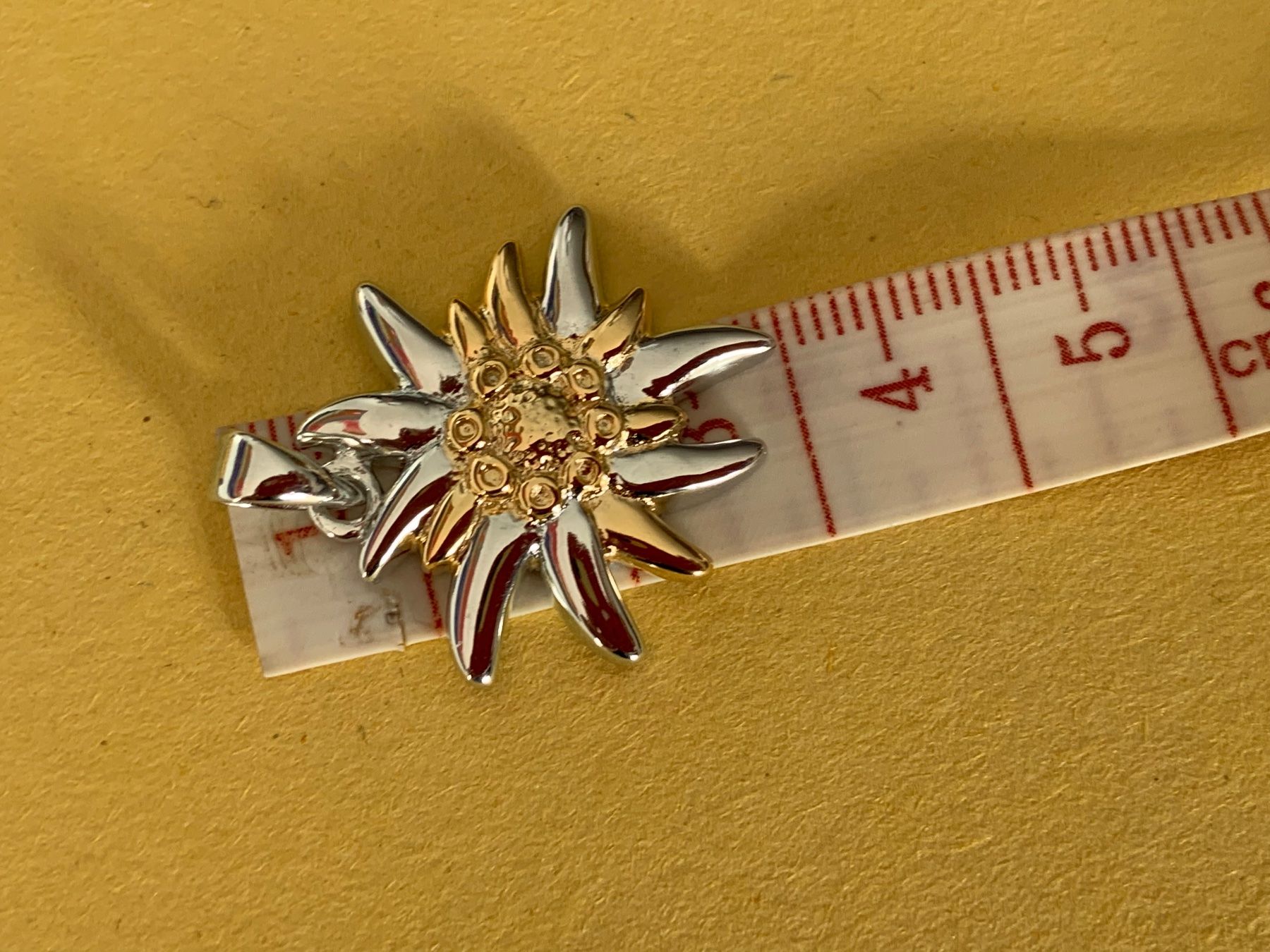 Ciondoli: EDELWEISS Schmuckanhänger Silber – Usato da Dittingen venduto da Bijoubelle 5