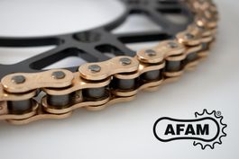 20 Kette AFAM A520MX6-GG 118L Motocross Gold nurFr.9.90/Stk