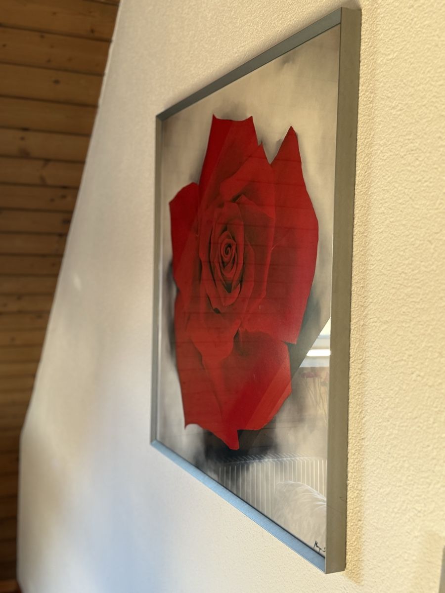 Foto & Immagini: Wandbild Kunsthaus W. Käfer – Nuovo (secondo la descrizione) da Fislisbach venduto da jelennn