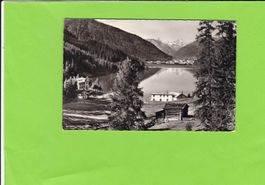 Höhwald am Davosersee