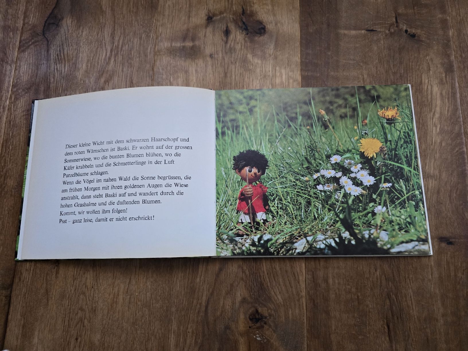 Libri: buch baski – Usato da Wittenbach venduto da Tigerlili 9