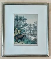 handkolorierte Stich – Tapir und Jagdszene im Dschungel