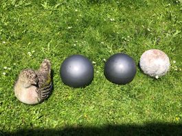 Hübsche Gartendeko Vogel + 3 Tonkugeln