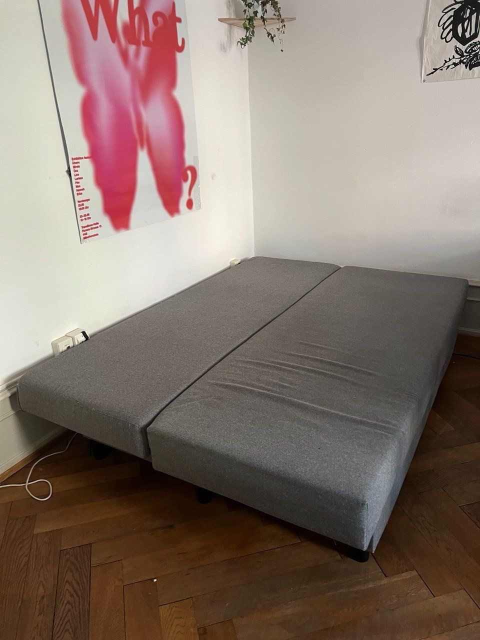 Divani: Ausziehbares Sofa – Usato da Basel venduto da lin_z5zt 1