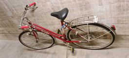 Damen Velo